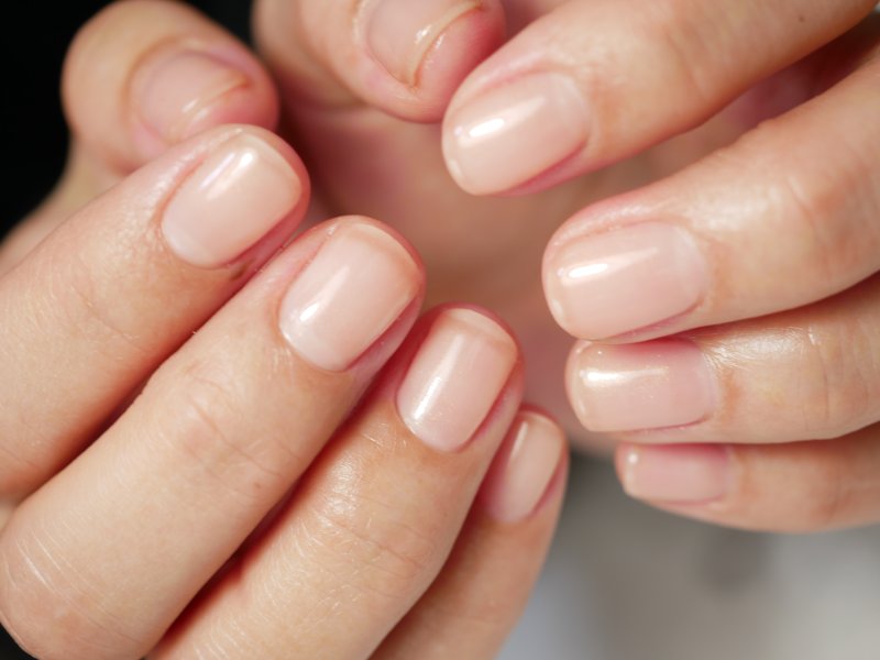 【育成】美爪育成